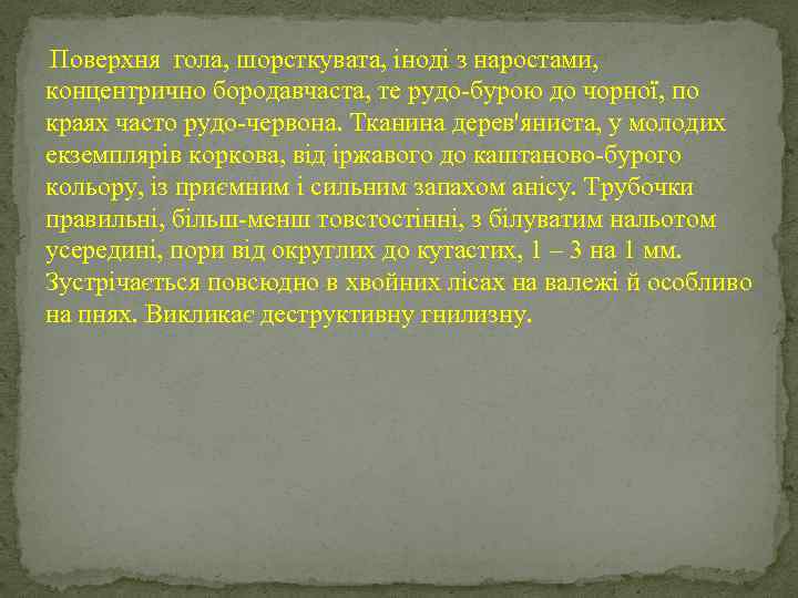  Поверхня гола, шорсткувата, іноді з наростами, концентрично бородавчаста, те рудо-бурою до чорної, по