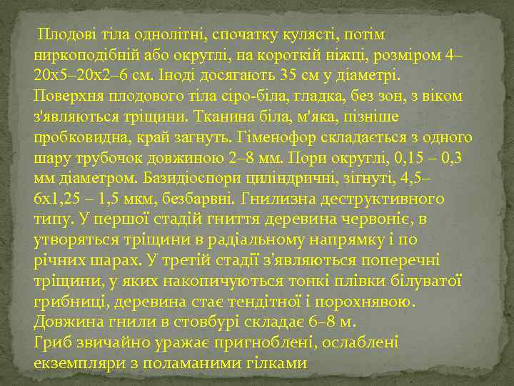  Плодові тіла однолітні, спочатку кулясті, потім ниркоподібній або округлі, на короткій ніжці, розміром