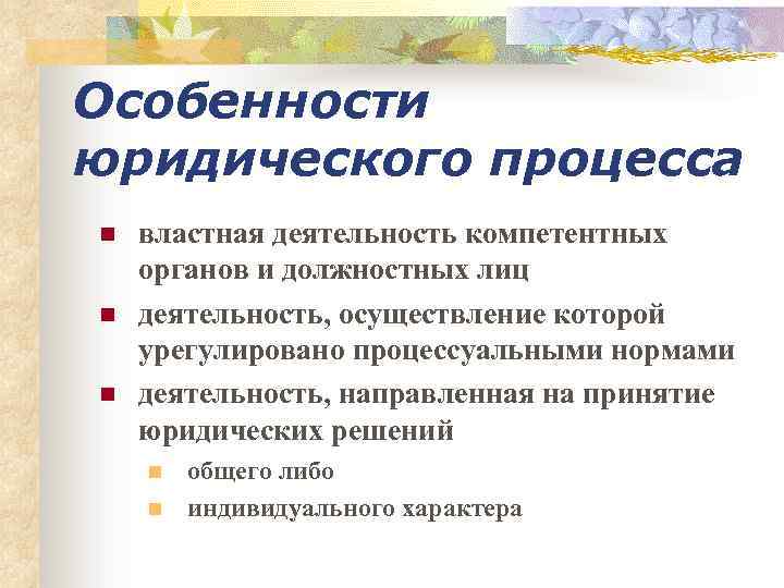 Особенности юридического процесса n n n властная деятельность компетентных органов и должностных лиц деятельность,