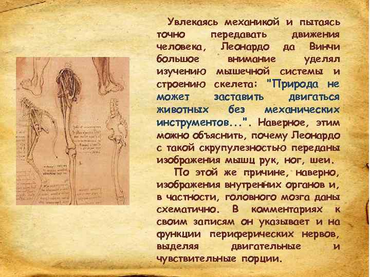 Увлекаясь механикой и пытаясь точно передавать движения человека, Леонардо да Винчи большое внимание уделял