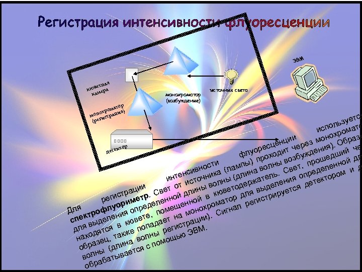 ЭВМ ая етн кюв ера кам тор ома охр ация) мон стр и (рег