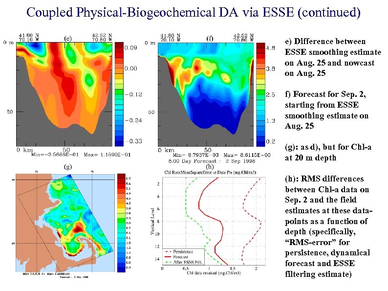 Coupled Physical-Biogeochemical DA via ESSE (continued) e) Difference between ESSE smoothing estimate on Aug.