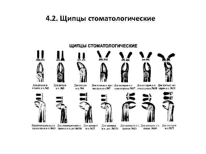 4. 2. Щипцы стоматологические 