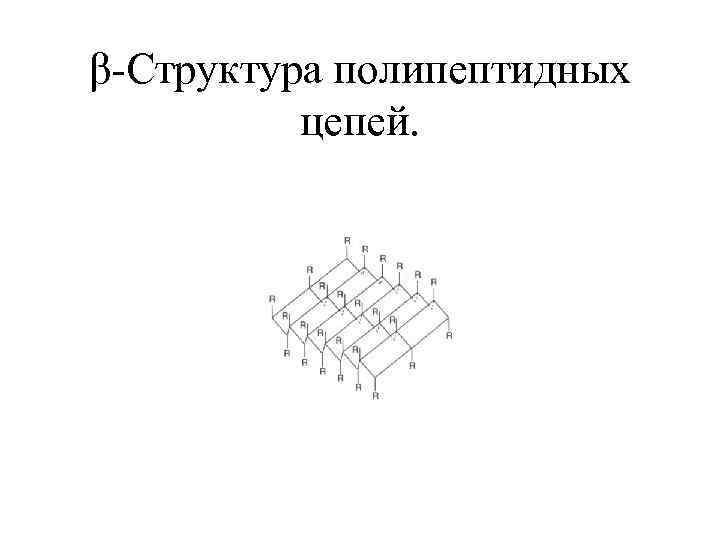 β-Структура полипептидных цепей. 