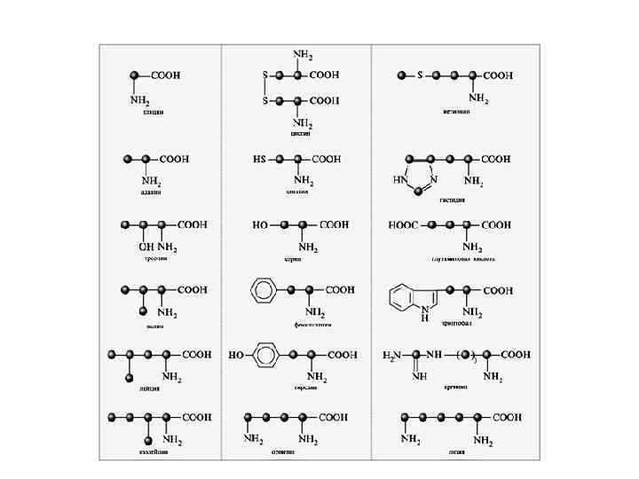 21 аминокислота. Формула гомологического ряда аминокислот. Аминокислоты общая формула Гомологический ряд. Гомологический ряд аминокислот таблица. Гомологический ряд предельных аминокислот.