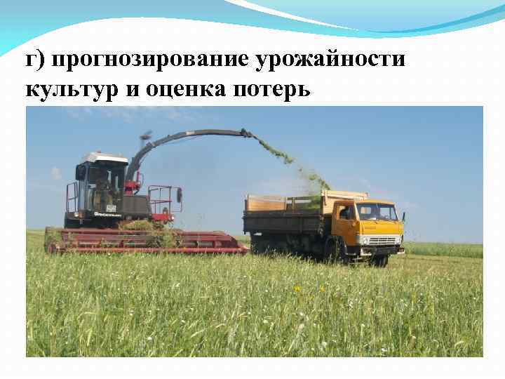 г) прогнозирование урожайности культур и оценка потерь 