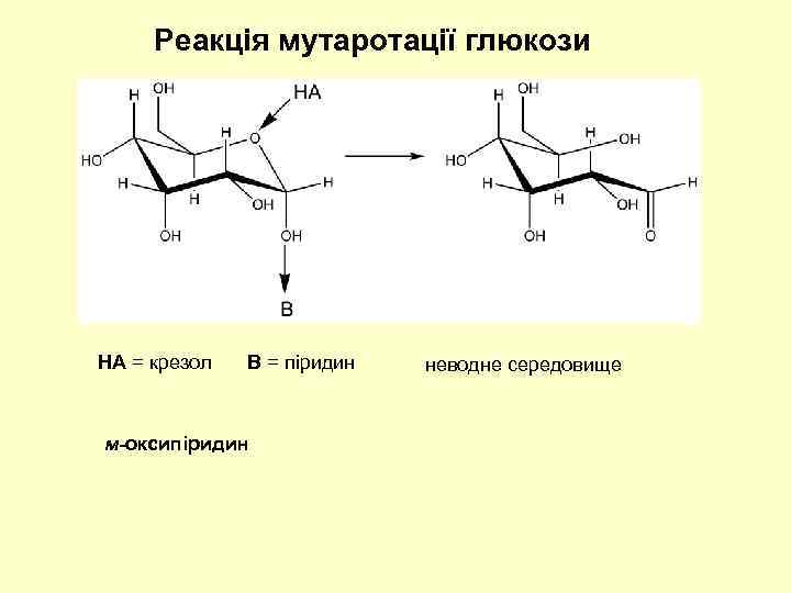 Реакція мутаротації глюкози HA = крезол B = піридин м-оксипіридин неводне середовище 