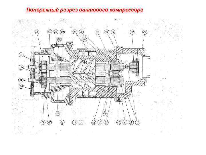 Поперечный разрез винтового компрессора 