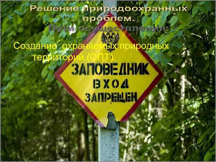 Создание охраняемых природных территорий (ОПТ). 