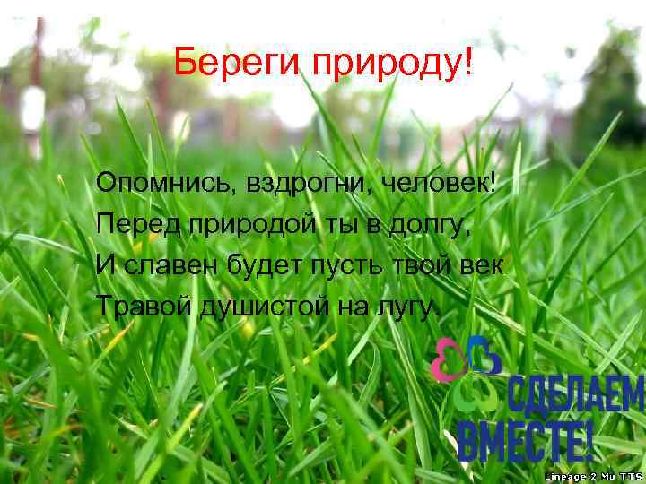 Береги природу! Опомнись, вздрогни, человек! Перед природой ты в долгу, И славен будет пусть