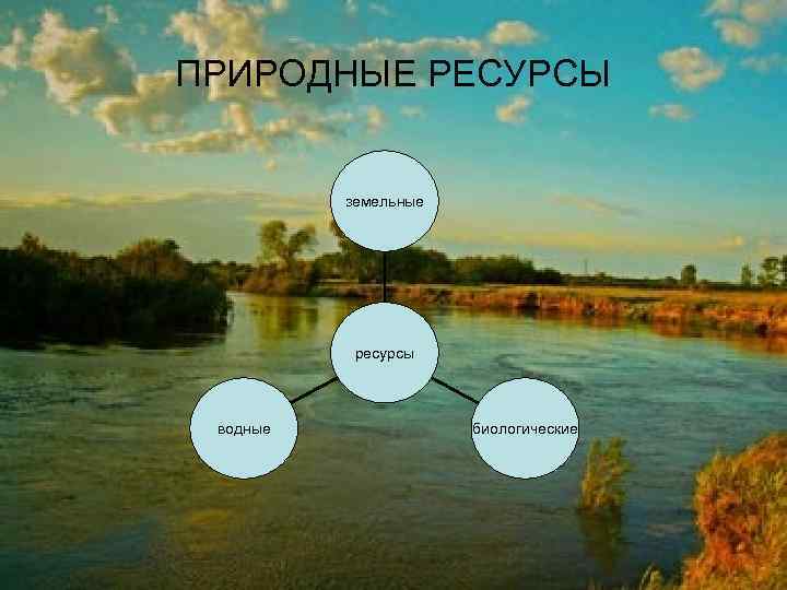 ПРИРОДНЫЕ РЕСУРСЫ земельные ресурсы водные биологические 