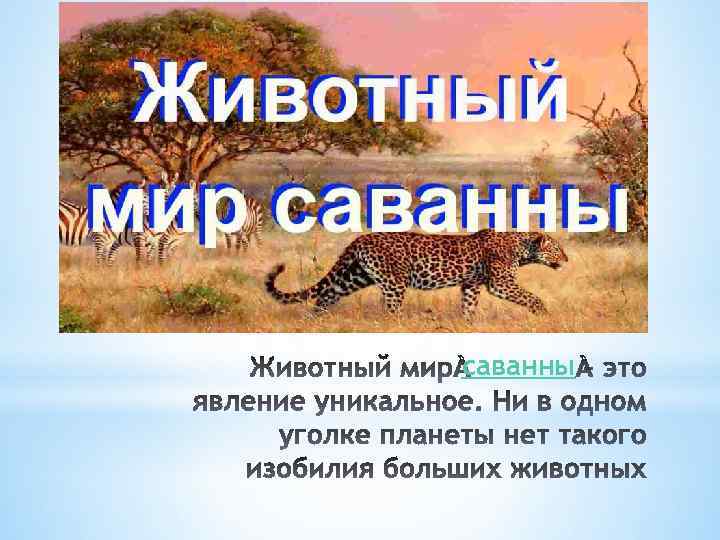 саванны 