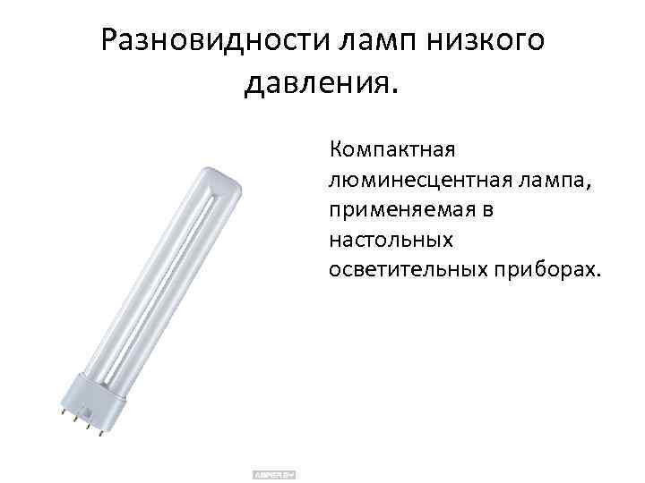 Разновидности ламп низкого давления. Компактная люминесцентная лампа, применяемая в настольных осветительных приборах. 