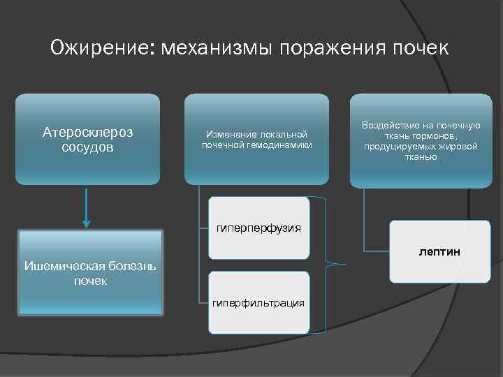 Ожирение: механизмы поражения почек Атеросклероз сосудов Изменение локальной почечной гемодинамики Воздействие на почечную ткань