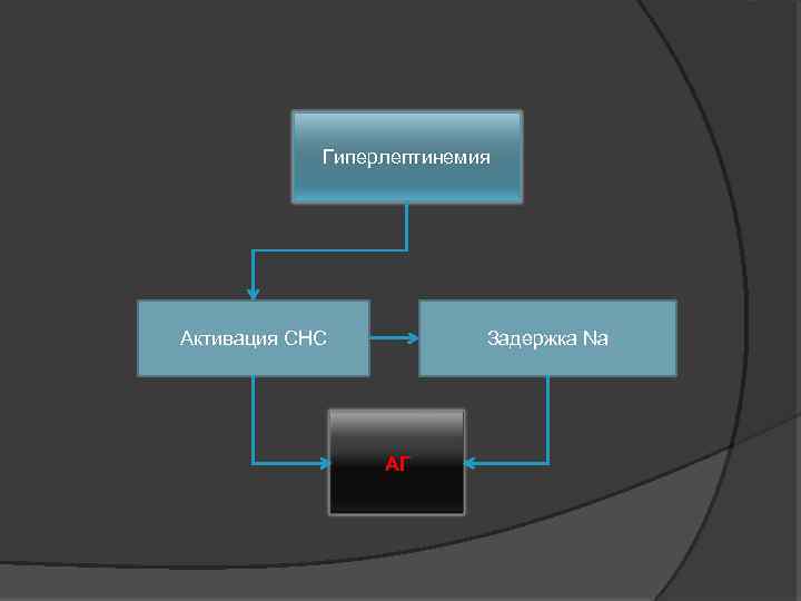Гиперлептинемия Активация СНС Задержка Na АГ 