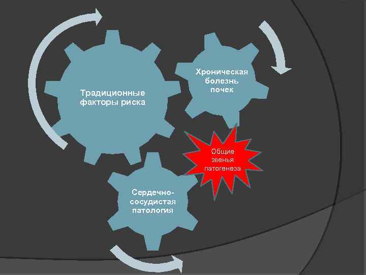 Традиционные факторы риска Хроническая болезнь почек Общие звенья патогенеза Сердечнососудистая патология 