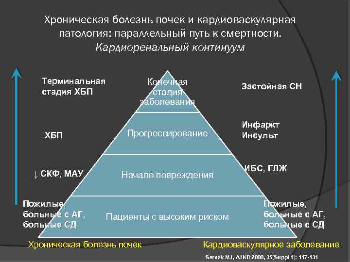Хроническая болезнь почек и кардиоваскулярная патология: параллельный путь к смертности. Кардиоренальный континуум Терминальная стадия