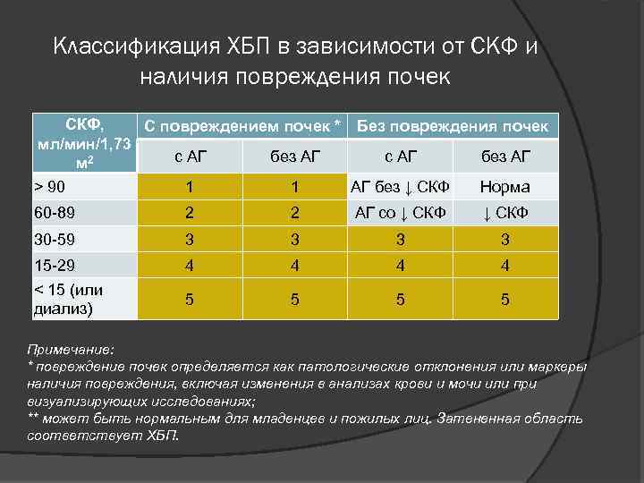 Классификация ХБП в зависимости от СКФ и наличия повреждения почек СКФ, С повреждением почек