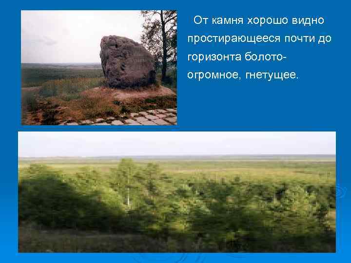 От камня хорошо видно простирающееся почти до горизонта болотоогромное, гнетущее. 