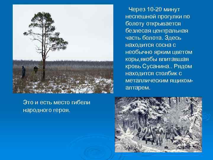 Через 10 -20 минут неспешной прогулки по болоту открывается безлесая центральная часть болота. Здесь