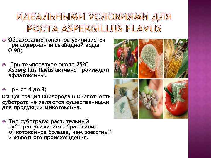  Образование токсинов усиливается при содержании свободной воды 0, 90; При температуре около 250