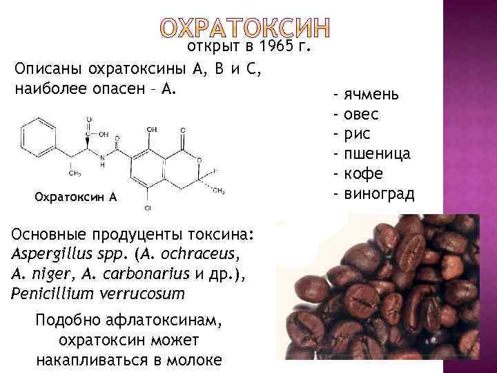 открыт в 1965 г. Описаны охратоксины А, B и С, наиболее опасен – А.
