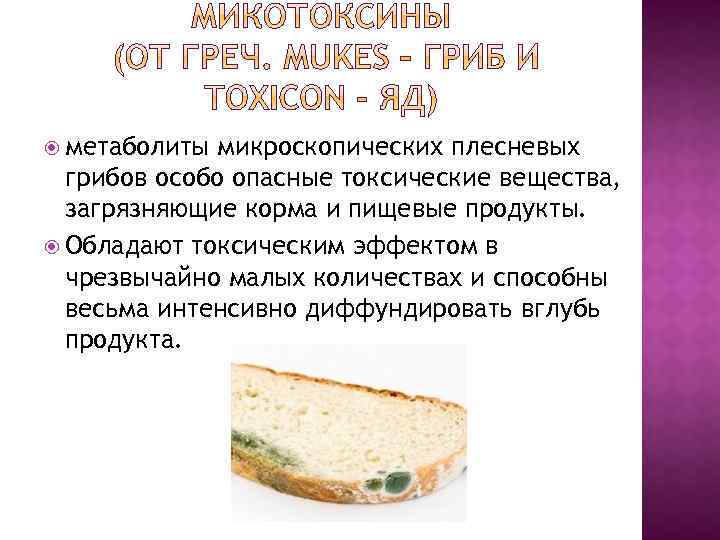  метаболиты микроскопических плесневых грибов особо опасные токсические вещества, загрязняющие корма и пищевые продукты.