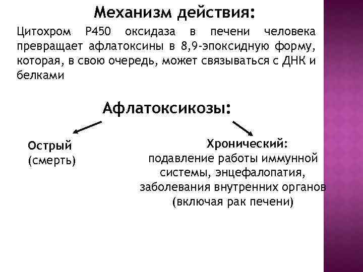 Механизм действия: Цитохром Р 450 оксидаза в печени человека превращает афлатоксины в 8, 9