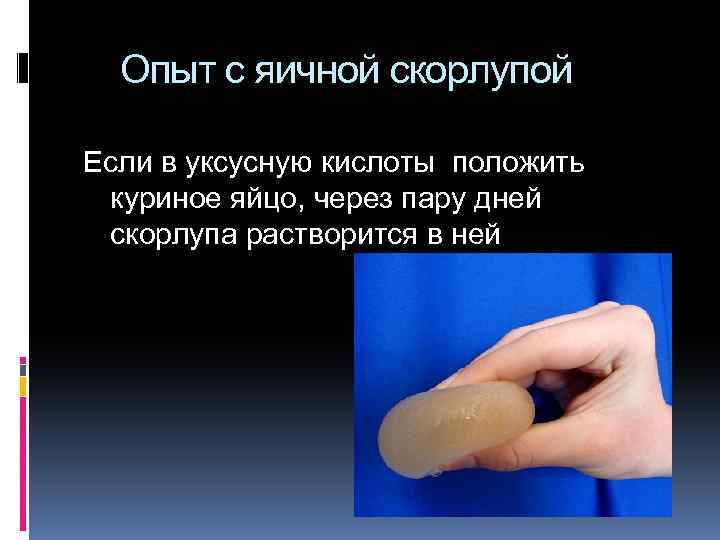 Опыт с яичной скорлупой Если в уксусную кислоты положить куриное яйцо, через пару дней