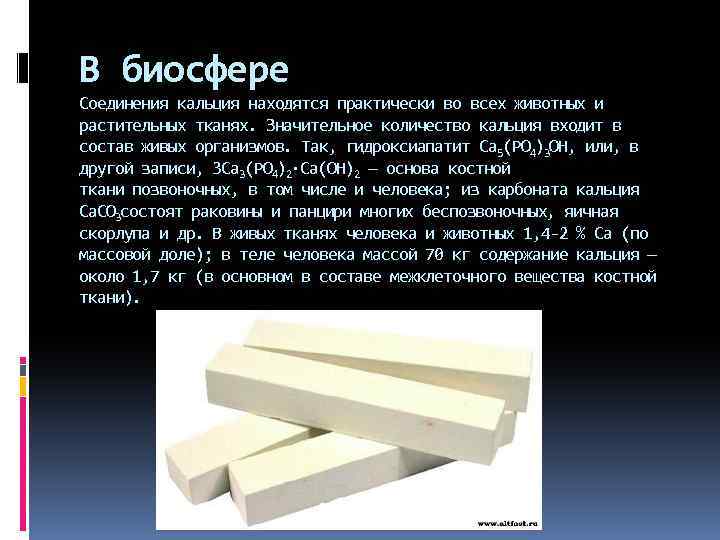 В биосфере Соединения кальция находятся практически во всех животных и растительных тканях. Значительное количество