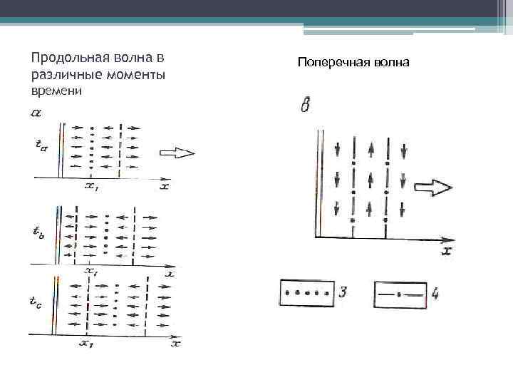 На рисунке изображена поперечная волна бегущая по веревочному шнуру скорость волны v в некоторый