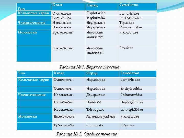 Тип Кольчатые черви Членистоногие Моллюски Класс Отряд Семейство Олигохеты Насекомые Брюхоногие Haplotaxida Двукрылые Легочные