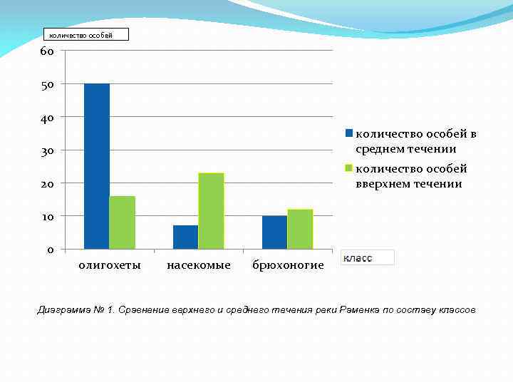количество особей 60 50 40 30 количество особей в среднем течении 20 количество особей