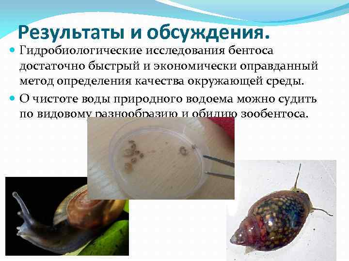 Результаты и обсуждения. Гидробиологические исследования бентоса достаточно быстрый и экономически оправданный метод определения качества