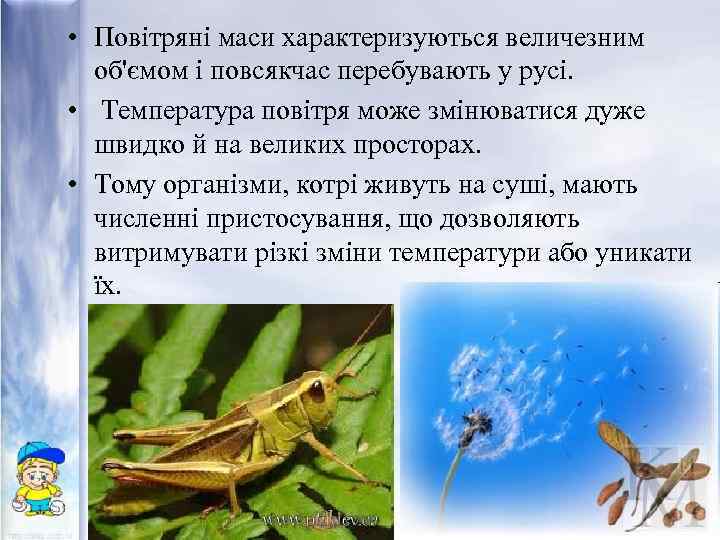  • Повітряні маси характеризуються величезним об'ємом і повсякчас перебувають у русі. • Температура