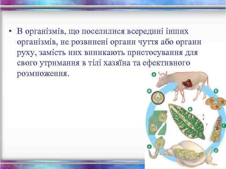  • В організмів, що поселилися всередині інших організмів, не розвинені органи чуття або