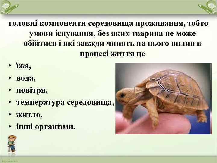 головні компоненти середовища проживання, тобто умови існування, без яких тварина не може обійтися і