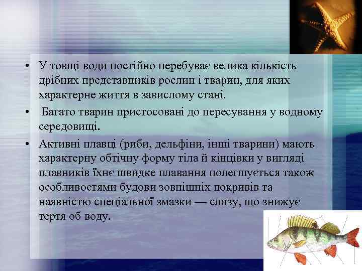  • У товщі води постійно перебуває велика кількість дрібних представників рослин і тварин,