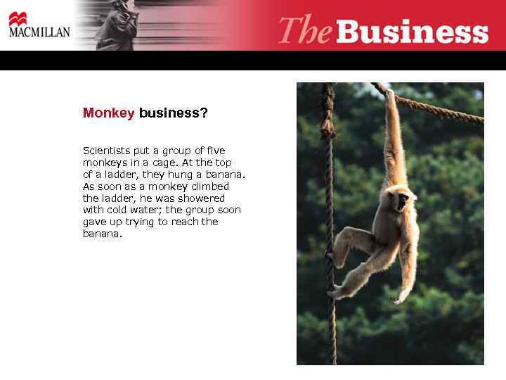 Monkey business? Scientists put a group of five monkeys in a cage. At the
