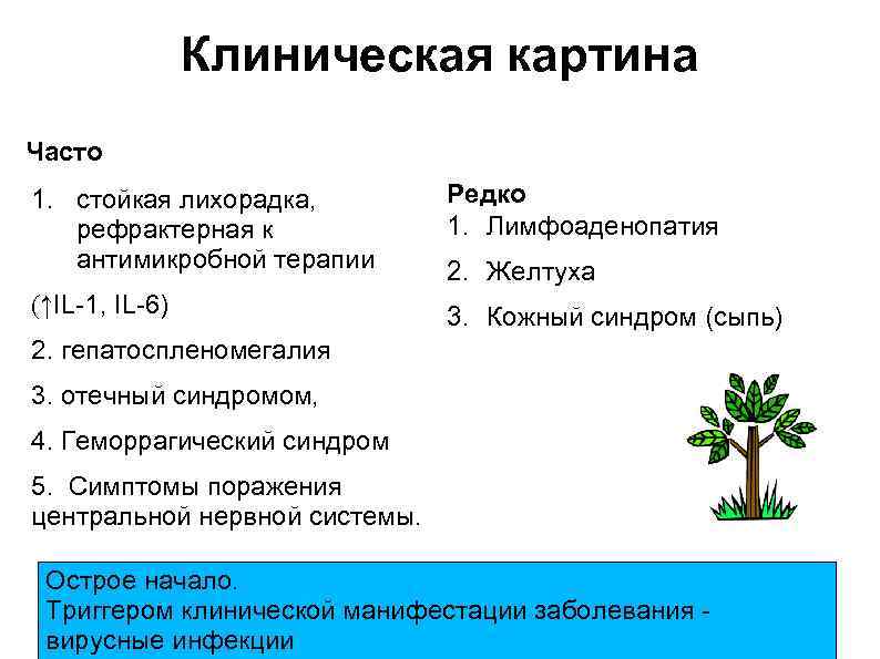 Клиническая картина Часто 1. стойкая лихорадка, рефрактерная к антимикробной терапии Редко 1. Лимфоаденопатия (↑IL-1,