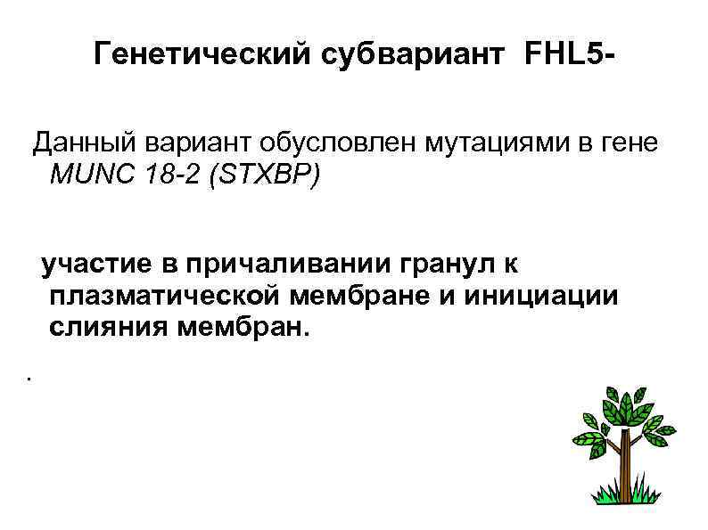 Генетический субвариант FHL 5 - Данный вариант обусловлен мутациями в гене MUNC 18 -2