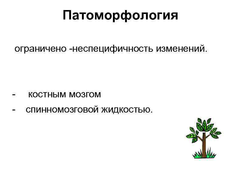 Патоморфология ограничено -неспецифичность изменений. - костным мозгом - спинномозговой жидкостью. 