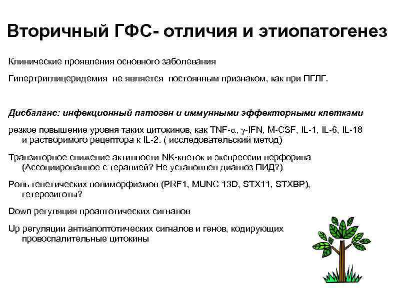 Вторичный ГФС- отличия и этиопатогенез Клинические проявления основного заболевания Гипертриглицеридемия не является постоянным признаком,