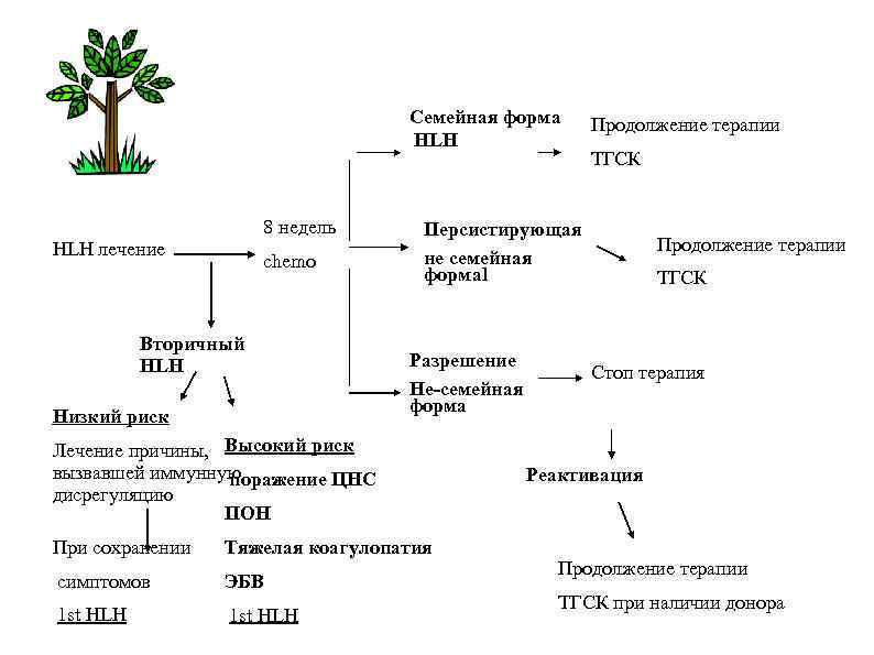 Семейная форма HLH 8 недель HLH лечение chemo Вторичный HLH Низкий риск Продолжение терапии