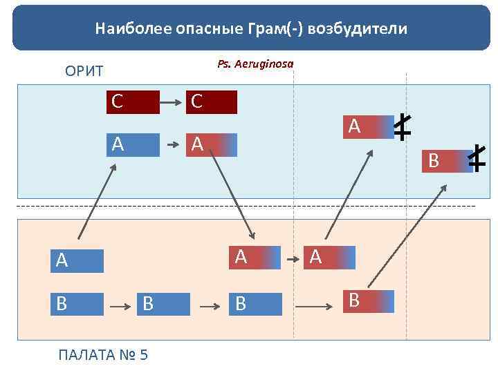 Наиболее опасные Грам(-) возбудители Ps. Aeruginosa ОРИТ С С А А B А B