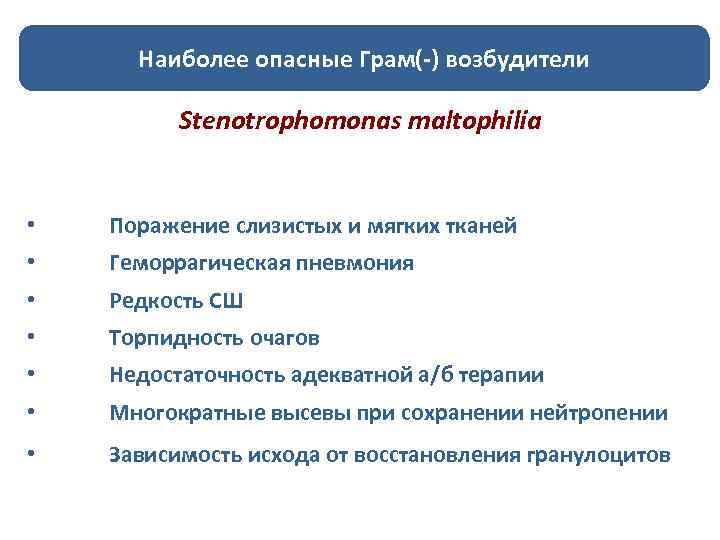 Наиболее опасные Грам(-) возбудители Stenotrophomonas maltophilia • Поражение слизистых и мягких тканей • Геморрагическая