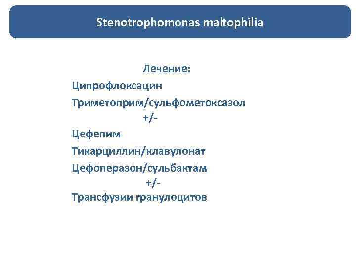 Stenotrophomonas maltophilia Лечение: Ципрофлоксацин Триметоприм/сульфометоксазол +/Цефепим Тикарциллин/клавулонат Цефоперазон/сульбактам +/Трансфузии гранулоцитов 