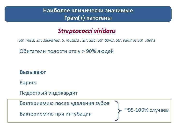 Наиболее клинически значимые Грам(+) патогены Streptococci viridans Str. mitis, Str. salivarius, S. mutans ,