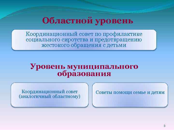 Областной уровень Координационный совет по профилактике социального сиротства и предотвращению жестокого обращения с детьми