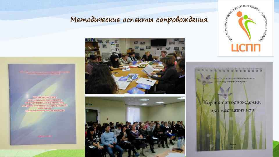 Методические аспекты сопровождения. 
